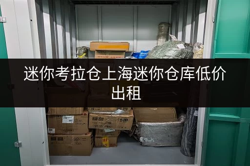 迷你考拉仓上海迷你仓库低价出租,解锁家庭空间新境界 迷你考拉仓上海迷你仓库低价出租,解锁家庭空间新境界