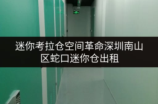 迷你考拉仓空间革命深圳南山区蛇口迷你仓出租,解锁家庭空间新境界 迷你考拉仓空间革命深圳南山区蛇口迷你仓出租,解锁家庭空间新境界