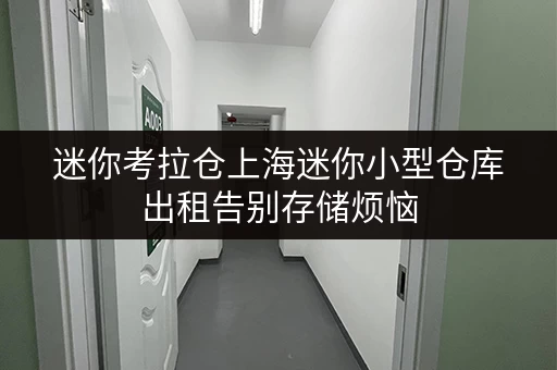 迷你考拉仓上海迷你小型仓库出租告别存储烦恼，全时段服务，存取无忧！