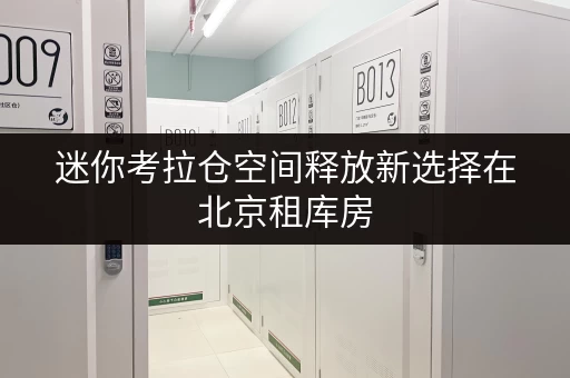 迷你考拉仓空间释放新选择在北京租库房,解锁家庭品质生活新境界 迷你考拉仓空间释放新选择在北京租库房,解锁家庭品质生活新境界