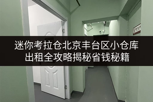 迷你考拉仓北京丰台区小仓库出租全攻略揭秘省钱秘籍,告别价格迷雾! 迷你考拉仓北京丰台区小仓库出租全攻略揭秘省钱秘籍,告别价格迷雾!