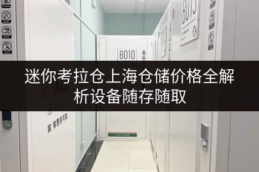 迷你考拉仓上海仓储价格全解析设备随存随取，便捷生活新选择