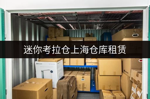 迷你考拉仓上海仓库租赁,揭秘一平方的价格之谜,省心存储方案大公开! 迷你考拉仓上海仓库租赁,揭秘一平方的价格之谜,省心存储方案大公开!