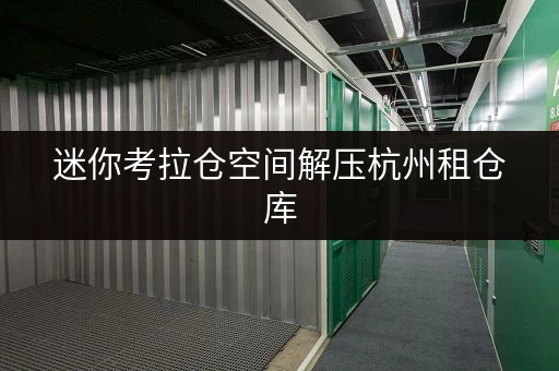迷你考拉仓空间解压杭州租仓库，释放办公空间，一平方租金揭秘！
