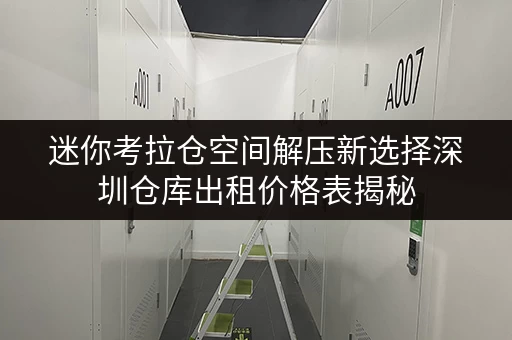 迷你考拉仓空间解压新选择深圳仓库出租价格表揭秘，释放家庭空间，提升生活品质