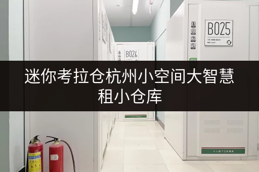 迷你考拉仓杭州小空间大智慧租小仓库,释放家庭空间,提升生活品质 迷你考拉仓杭州小空间大智慧租小仓库,释放家庭空间,提升生活品质