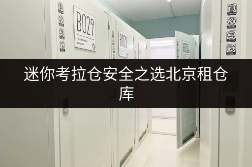 迷你考拉仓安全之选北京租仓库,这些平台让您的物品安心“安家” 迷你考拉仓安全之选北京租仓库,这些平台让您的物品安心“安家”