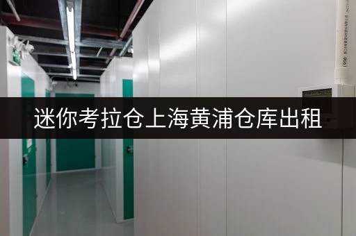 迷你考拉仓上海黄浦仓库出租,安全温湿监控,守护您的每一件宝贝 迷你考拉仓上海黄浦仓库出租,安全温湿监控,守护您的每一件宝贝