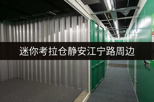 迷你考拉仓静安江宁路周边,这些物品寄存好选择,安全温湿监控让您无忧 迷你考拉仓静安江宁路周边,这些物品寄存好选择,安全温湿监控让您无忧