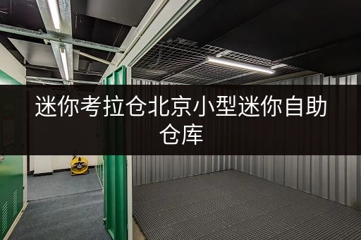 迷你考拉仓北京小型迷你自助仓库,办公空间释放新选择 迷你考拉仓北京小型迷你自助仓库,办公空间释放新选择