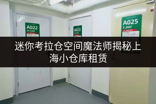 迷你考拉仓空间魔法师揭秘上海小仓库租赁，如何释放家庭空间，提升生活品质