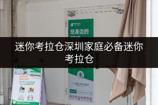 迷你考拉仓深圳家庭必备迷你考拉仓,守护您的物品安全与温湿度恒定 迷你考拉仓深圳家庭必备迷你考拉仓,守护您的物品安全与温湿度恒定