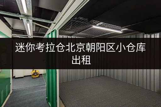迷你考拉仓北京朝阳区小仓库出租,长租无忧,随存随取更便捷 迷你考拉仓北京朝阳区小仓库出租,长租无忧,随存随取更便捷