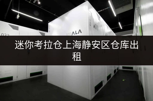 迷你考拉仓上海静安区仓库出租,如何选对面积?实用案例解析 迷你考拉仓上海静安区仓库出租,如何选对面积?实用案例解析