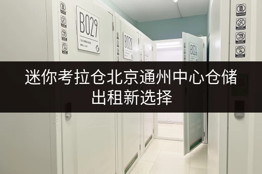 迷你考拉仓北京通州中心仓储出租新选择,全时段服务,存取无忧! 迷你考拉仓北京通州中心仓储出租新选择,全时段服务,存取无忧!