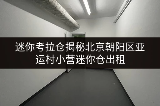 迷你考拉仓揭秘北京朝阳区亚运村小营迷你仓出租，价格透明省钱攻略！