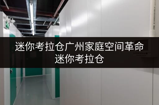 迷你考拉仓广州家庭空间革命迷你考拉仓,释放空间,提升生活品质全攻略 迷你考拉仓广州家庭空间革命迷你考拉仓,释放空间,提升生活品质全攻略