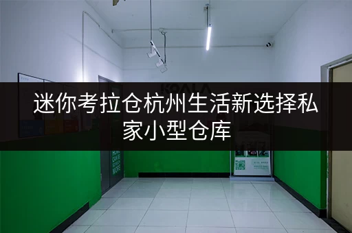 迷你考拉仓杭州生活新选择私家小型仓库，存取无忧，全时段服务，尽享便捷生活