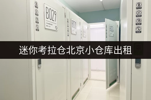 迷你考拉仓北京小仓库出租,如何选得又好又省? 迷你考拉仓北京小仓库出租,如何选得又好又省?