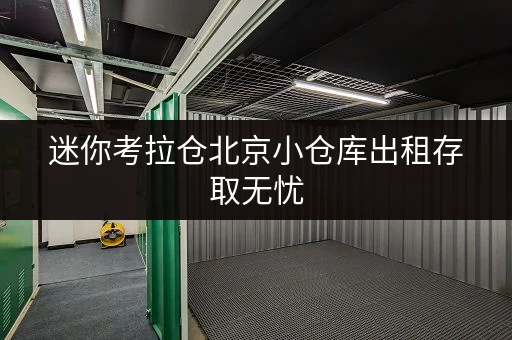 迷你考拉仓北京小仓库出租存取无忧,全时段服务,释放你的空间压力 迷你考拉仓北京小仓库出租存取无忧,全时段服务,释放你的空间压力