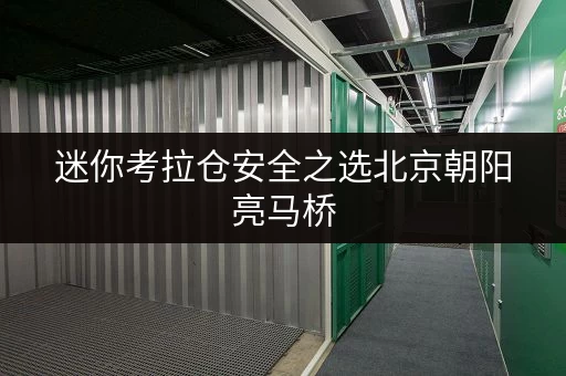 迷你考拉仓安全之选北京朝阳亮马桥,迷你考拉仓守护您的每一件珍品 迷你考拉仓安全之选北京朝阳亮马桥,迷你考拉仓守护您的每一件珍品