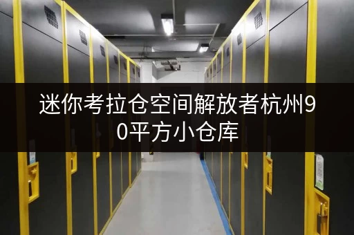 迷你考拉仓空间解放者杭州90平方小仓库，释放办公空间新境界