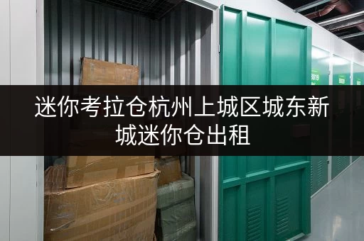 迷你考拉仓杭州上城区城东新城迷你仓出租,打造货物存放省心新方案 迷你考拉仓杭州上城区城东新城迷你仓出租,打造货物存放省心新方案