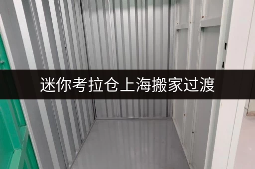 迷你考拉仓上海搬家过渡,安全温湿监控下的临时寄存好选择 迷你考拉仓上海搬家过渡,安全温湿监控下的临时寄存好选择