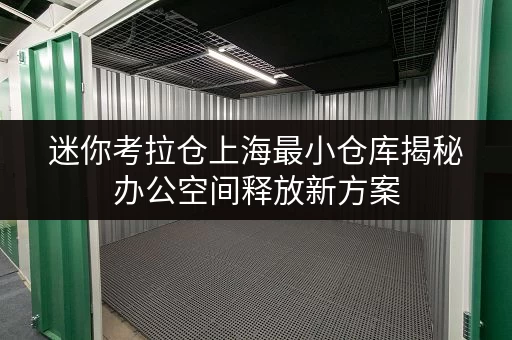 迷你考拉仓上海最小仓库揭秘办公空间释放新方案 迷你考拉仓上海最小仓库揭秘办公空间释放新方案