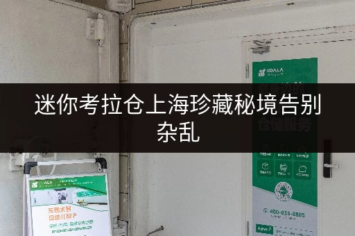 迷你考拉仓上海珍藏秘境告别杂乱，让贵重物品安心“归家”