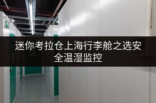 迷你考拉仓上海行李舱之选安全温湿监控,让你的物品安心“栖息” 迷你考拉仓上海行李舱之选安全温湿监控,让你的物品安心“栖息”