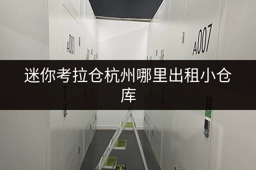 迷你考拉仓杭州哪里出租小仓库 迷你考拉仓杭州哪里出租小仓库