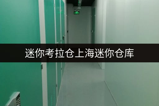 迷你考拉仓上海迷你仓库,价格透明,随存随取,告别空间烦恼! 迷你考拉仓上海迷你仓库,价格透明,随存随取,告别空间烦恼!