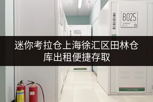 迷你考拉仓上海徐汇区田林仓库出租便捷存取，全时段服务，打造您的私人储物空间