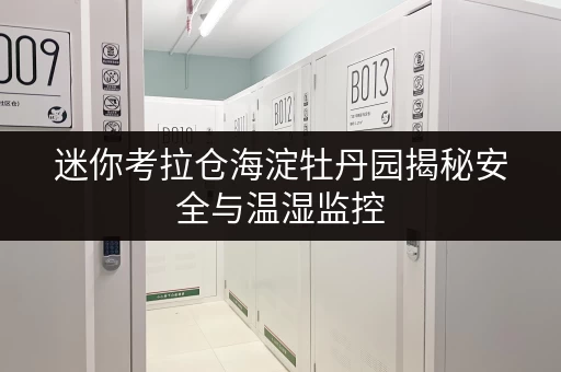 迷你考拉仓海淀牡丹园揭秘安全与温湿监控，迷你仓出租新选择