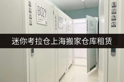 迷你考拉仓上海搬家仓库租赁,揭秘安全与温湿监控价格之谜 迷你考拉仓上海搬家仓库租赁,揭秘安全与温湿监控价格之谜