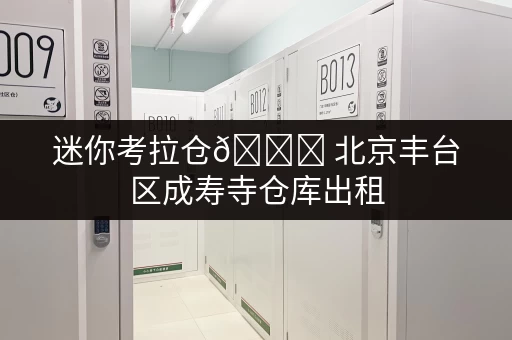 迷你考拉仓🚚 北京丰台区成寿寺仓库出租，工具设备随存随取更便捷！
