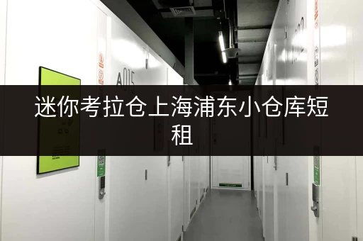 迷你考拉仓上海浦东小仓库短租，如何选对面积？实用案例解析