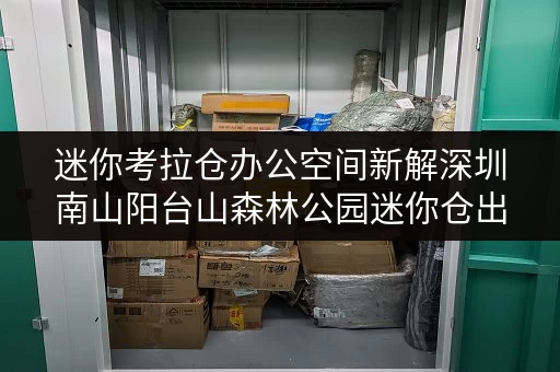 迷你考拉仓办公空间新解深圳南山阳台山森林公园迷你仓出租，轻松释放办公压力！