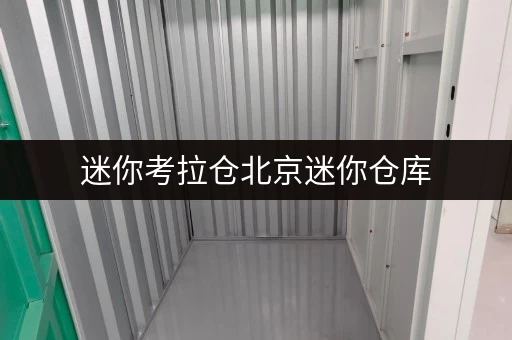 迷你考拉仓北京迷你仓库,安全之选,温湿监控守护您的每件宝贝 迷你考拉仓北京迷你仓库,安全之选,温湿监控守护您的每件宝贝