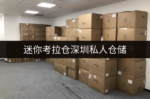 迷你考拉仓深圳私人仓储,安全与温湿监控,全方位守护您的存储空间 迷你考拉仓深圳私人仓储,安全与温湿监控,全方位守护您的存储空间