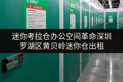 迷你考拉仓办公空间革命深圳罗湖区黄贝岭迷你仓出租，轻松释放办公空间！