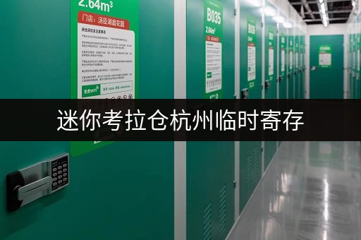 迷你考拉仓杭州临时寄存,工具随存随取的便捷选择 迷你考拉仓杭州临时寄存,工具随存随取的便捷选择