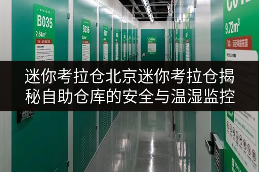 迷你考拉仓北京迷你考拉仓揭秘自助仓库的安全与温湿监控秘籍 迷你考拉仓北京迷你考拉仓揭秘自助仓库的安全与温湿监控秘籍