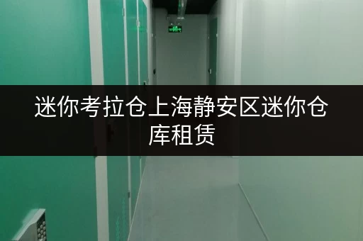 迷你考拉仓上海静安区迷你仓库租赁,存取无忧,全天候服务,轻松驾驭生活空间 迷你考拉仓上海静安区迷你仓库租赁,存取无忧,全天候服务,轻松驾驭生活空间