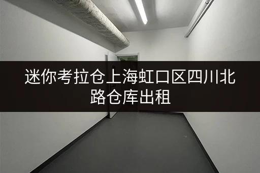 迷你考拉仓上海虹口区四川北路仓库出租,面积选择全攻略 迷你考拉仓上海虹口区四川北路仓库出租,面积选择全攻略
