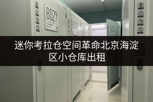 迷你考拉仓空间革命北京海淀区小仓库出租,解锁家庭空间新境界 迷你考拉仓空间革命北京海淀区小仓库出租,解锁家庭空间新境界