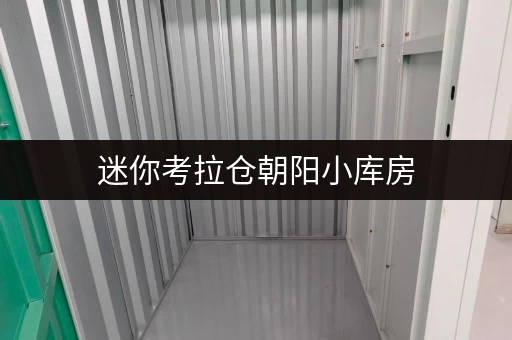 迷你考拉仓朝阳小库房，存取无忧，全时段服务，尽在迷你考拉仓
