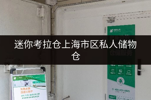 迷你考拉仓上海市区私人储物仓，安全与温湿监控双重保障，让您的物品安心“安家”