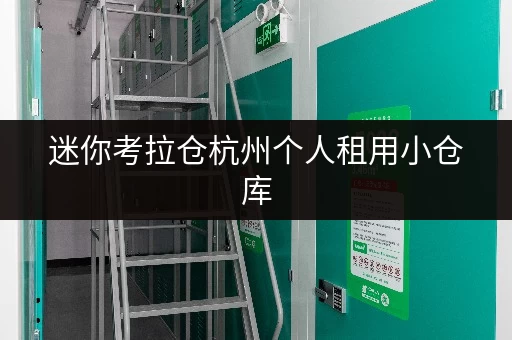 迷你考拉仓杭州个人租用小仓库，安全温湿监控护航您的宝贝